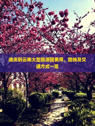 迪庆到云南大型旅游团费用、路线及交通方式一览