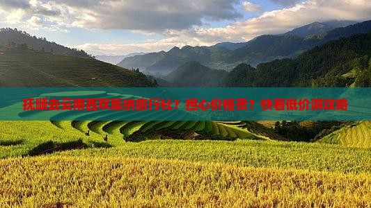 抚顺去云南西双版纳旅行社？担心价格贵？快看低价游攻略