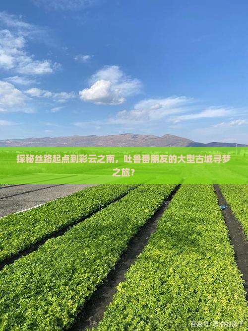 探秘丝路起点到彩云之南，吐鲁番朋友的大型古城寻梦之旅？