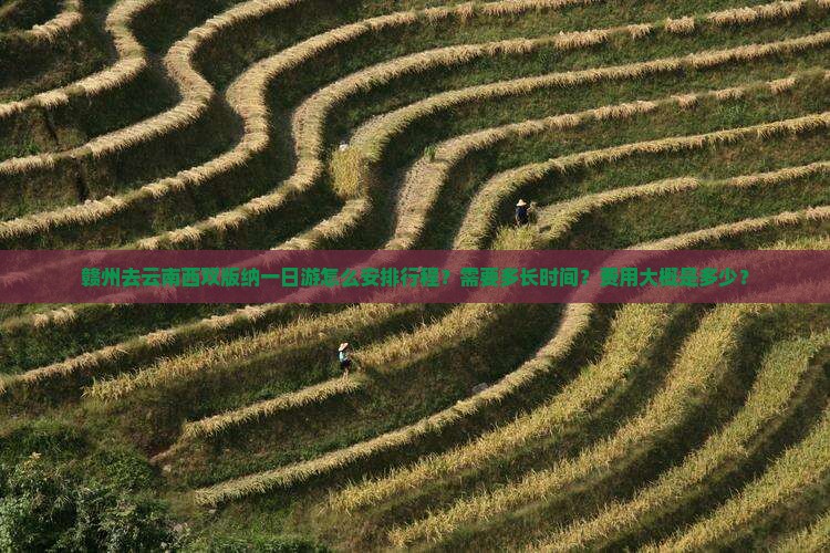 赣州去云南西双版纳一日游怎么安排行程？需要多长时间？费用大概是多少？