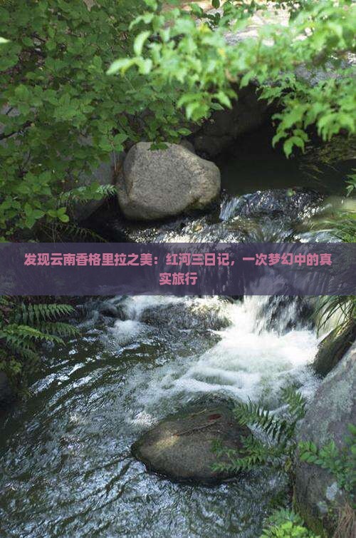 发现云南香格里拉之美：红河三日记，一次梦幻中的真实旅行