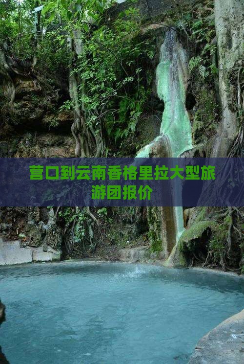 营口到云南香格里拉大型旅游团报价