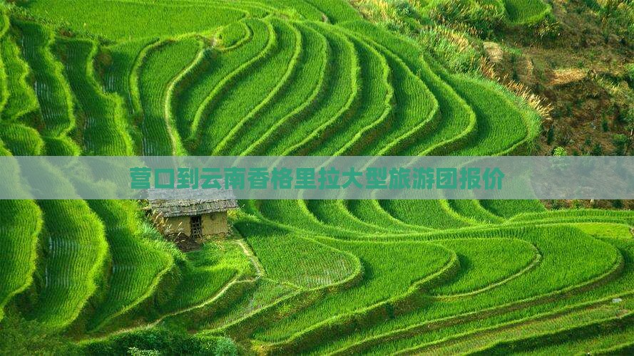 营口到云南香格里拉大型旅游团报价