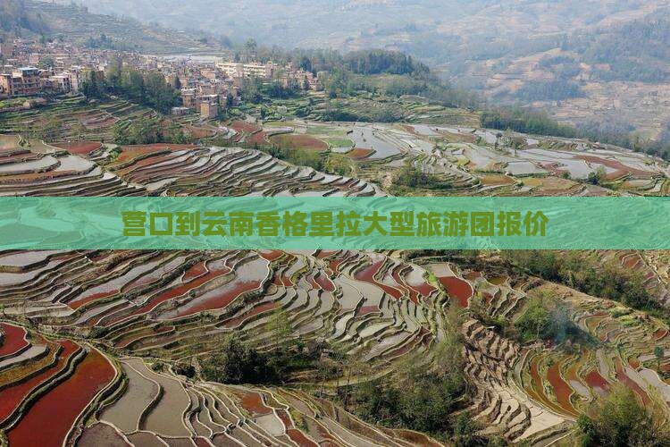 营口到云南香格里拉大型旅游团报价