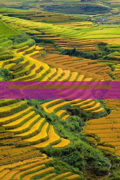 如何解决北海到云南昆明旅游中的交通难题与旅行痛点？