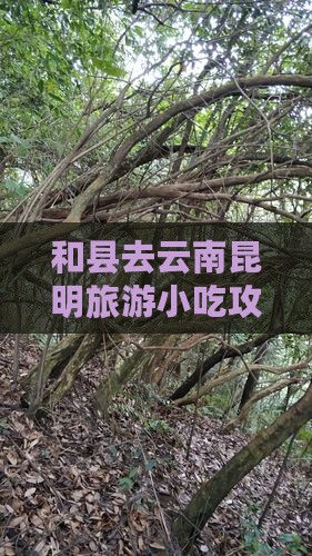 和县去云南昆明旅游小吃攻略及特色美食推荐