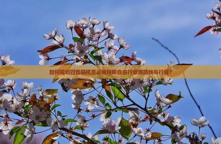 如何规划巴音郭楞至云南昆明自由行旅游路线与行程？