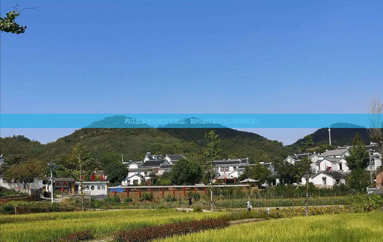 内江出发至云南玉龙雪山，如何选择旅行社以避免踩雷？