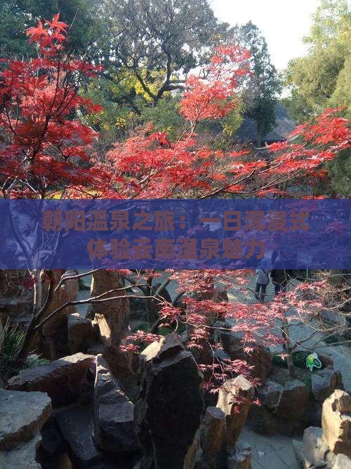 朝阳温泉之旅：一日沉浸式体验云南温泉魅力