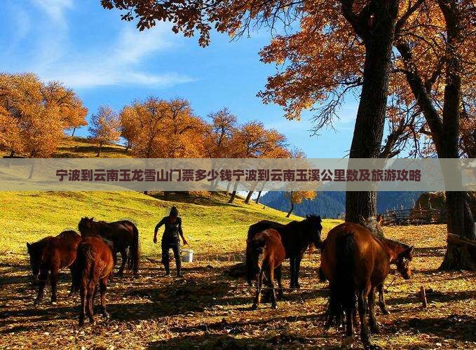 宁波到云南玉龙雪山门票多少钱宁波到云南玉溪公里数及旅游攻略