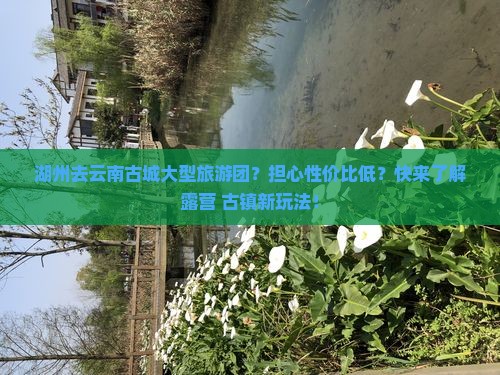 湖州去云南古城大型旅游团？担心性价比低？快来了解露营+古镇新玩法！