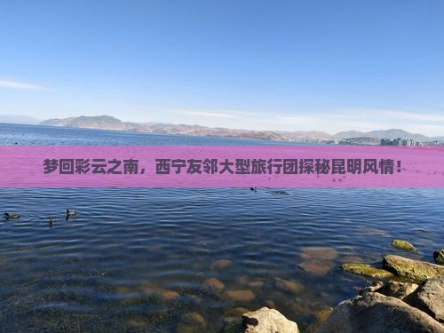 梦回彩云之南，西宁友邻大型旅行团探秘昆明风情！