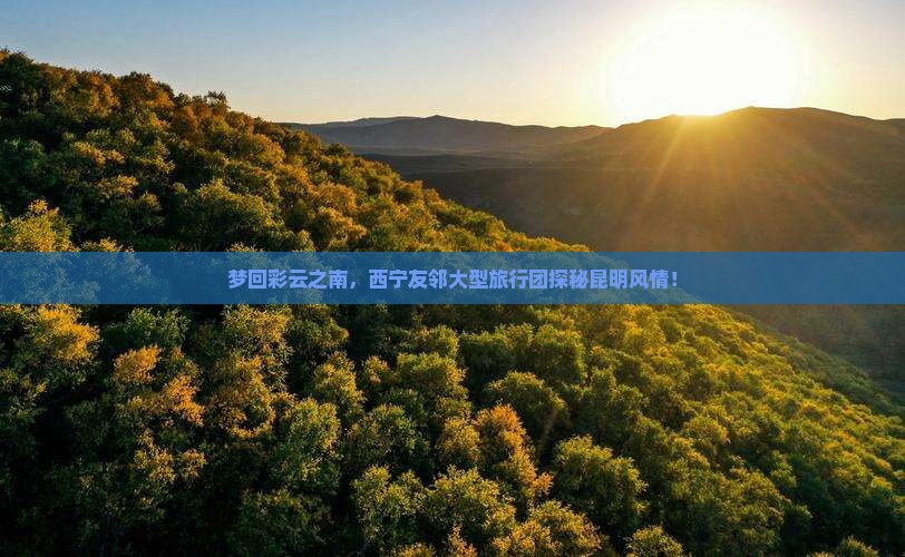 梦回彩云之南，西宁友邻大型旅行团探秘昆明风情！