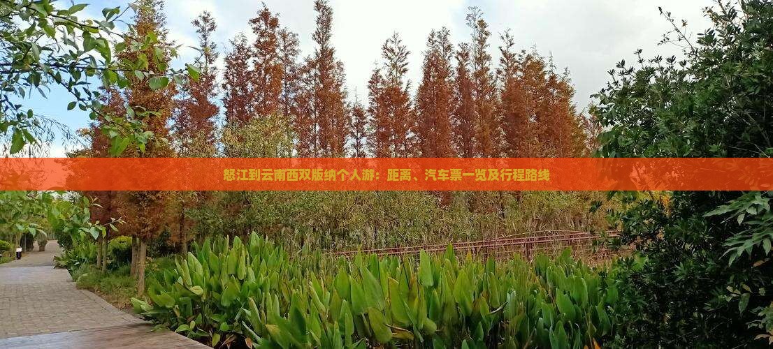 怒江到云南西双版纳个人游：距离、汽车票一览及行程路线