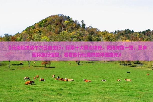 《云南版纳端午六日自由行：探索十大景点攻略，费用线路一览，更多国际旅行信息，看看旅行社提供的详细路线》