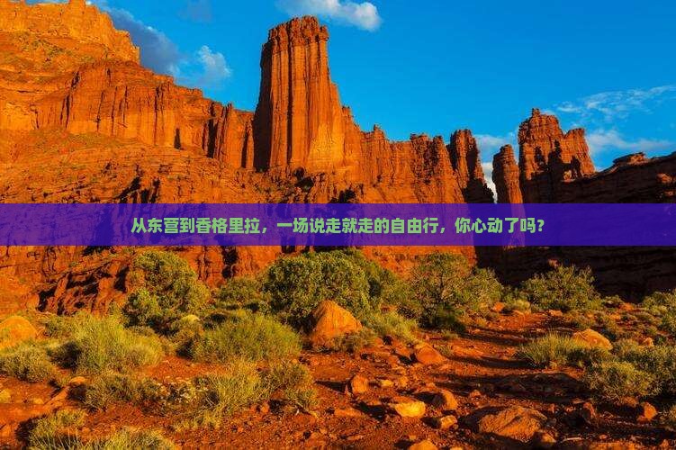 从东营到香格里拉，一场说走就走的自由行，你心动了吗？