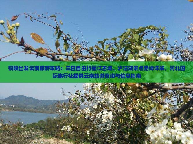 铜陵出发云南旅游攻略：三日自由行丽江古城、泸沽湖景点路线详解，河北国际旅行社提供云南旅游咨询与信息指南