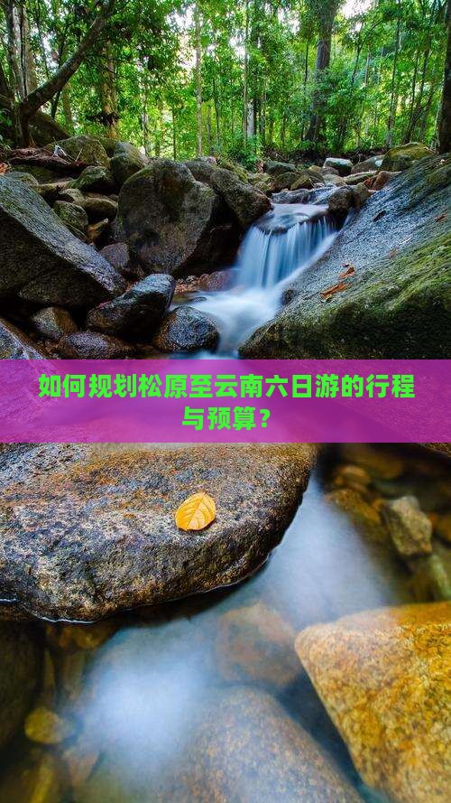 如何规划松原至云南六日游的行程与预算？