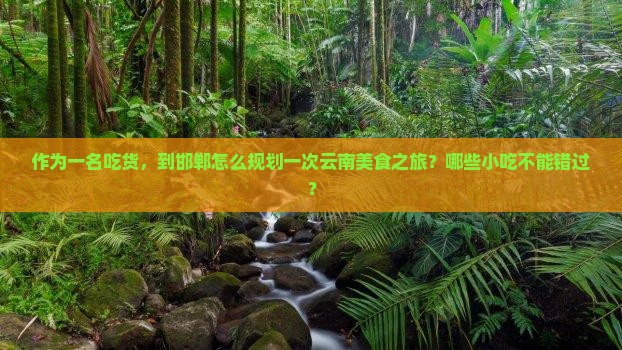 作为一名吃货，到邯郸怎么规划一次云南美食之旅？哪些小吃不能错过？