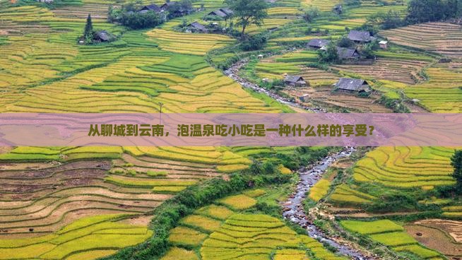 从聊城到云南，泡温泉吃小吃是一种什么样的享受？