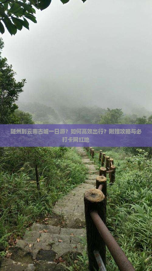 随州到云南古城一日游？如何高效出行？附赠攻略与必打卡网红地