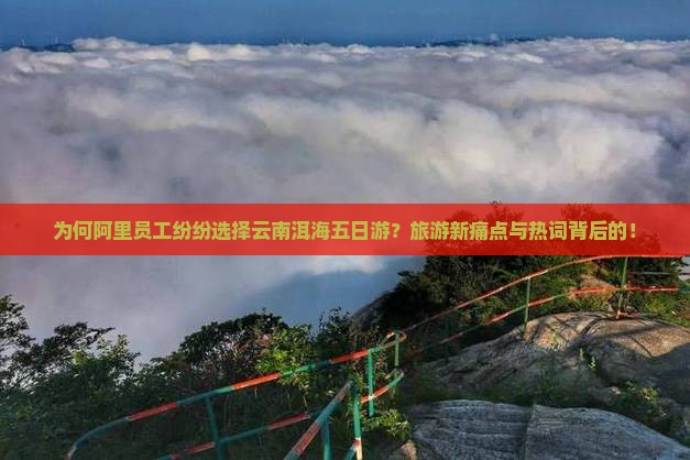 为何阿里员工纷纷选择云南洱海五日游？旅游新痛点与热词背后的！