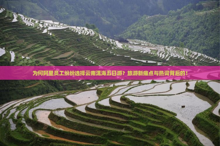 为何阿里员工纷纷选择云南洱海五日游？旅游新痛点与热词背后的！