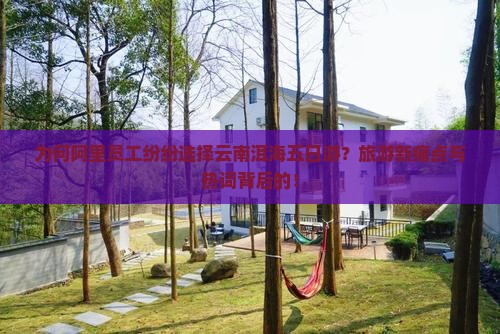 为何阿里员工纷纷选择云南洱海五日游？旅游新痛点与热词背后的！