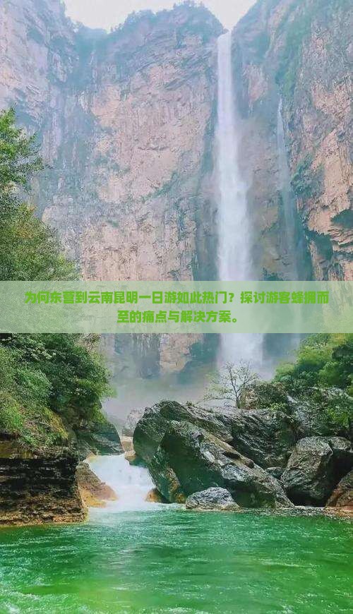 为何东营到云南昆明一日游如此热门？探讨游客蜂拥而至的痛点与解决方案。