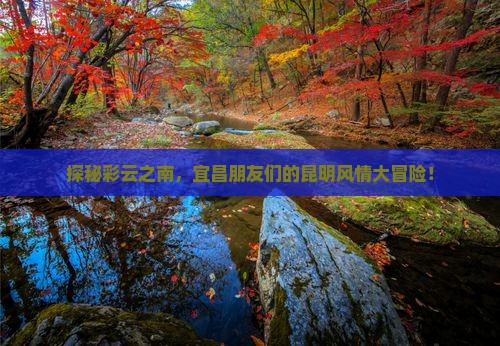 探秘彩云之南，宜昌朋友们的昆明风情大冒险！