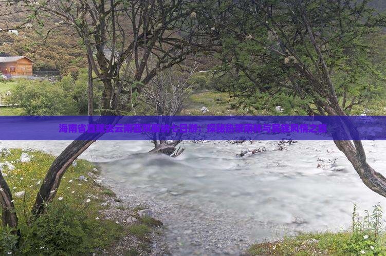 海南省直辖去云南西双版纳七日游：探秘热带雨林与民族风情之旅