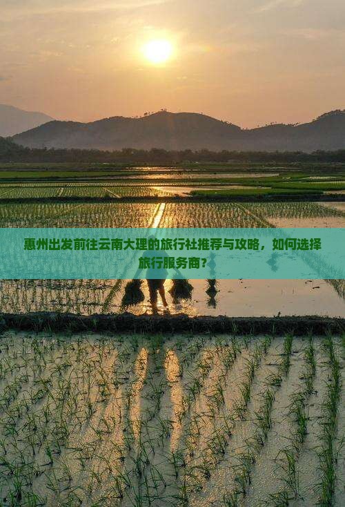 惠州出发前往云南大理的旅行社推荐与攻略，如何选择旅行服务商？