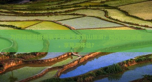 为何诸城游客热衷于云南玉龙雪山旅游？如何规避痛点，享施游体验？