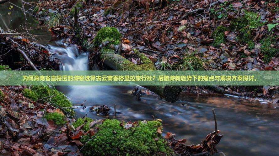 为何海南省直辖区的游客选择去云南香格里拉旅行社？后旅游新趋势下的痛点与解决方案探讨。