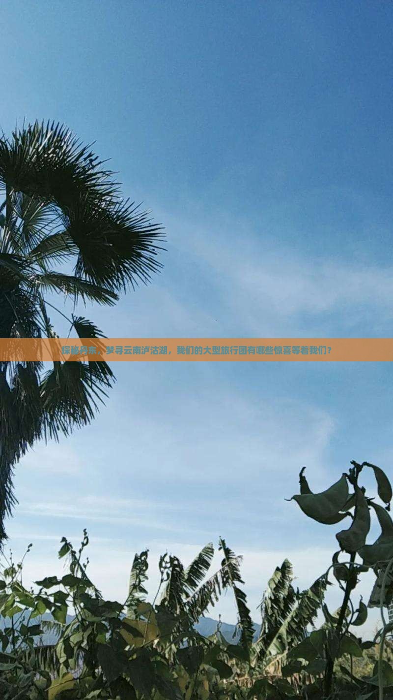 探秘丹东，梦寻云南泸沽湖，我们的大型旅行团有哪些惊喜等着我们？