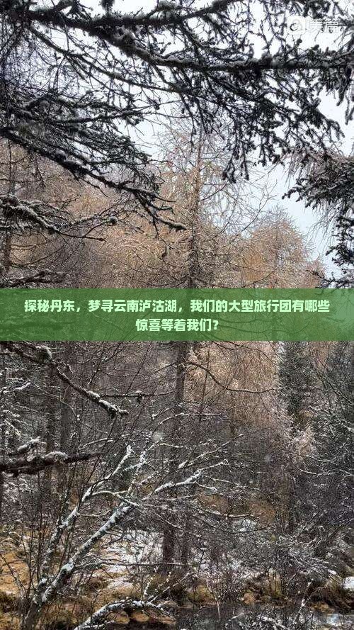 探秘丹东，梦寻云南泸沽湖，我们的大型旅行团有哪些惊喜等着我们？