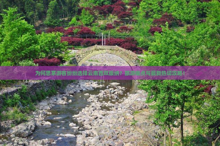 为何思茅游客纷纷选择云南西双版纳？旅游痛点与最新热词攻略！