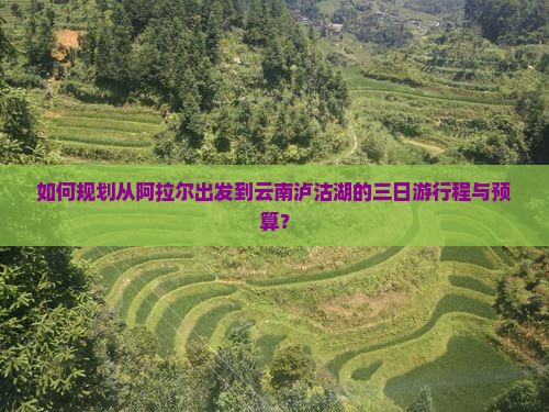如何规划从阿拉尔出发到云南泸沽湖的三日游行程与预算？