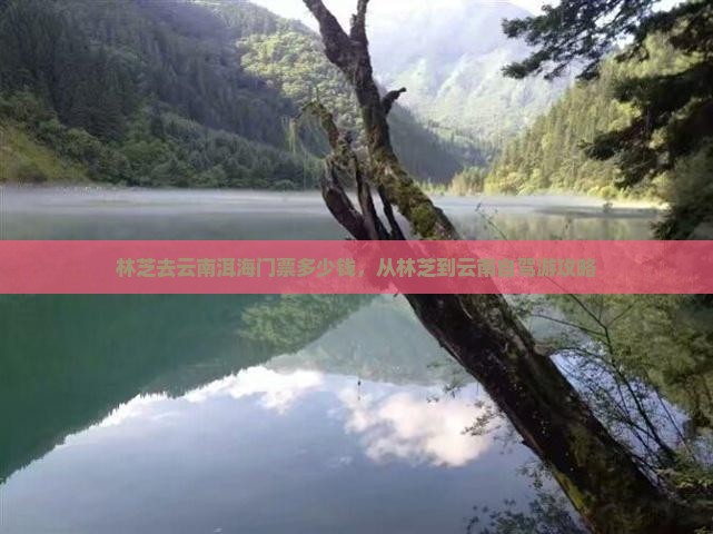 林芝去云南洱海门票
