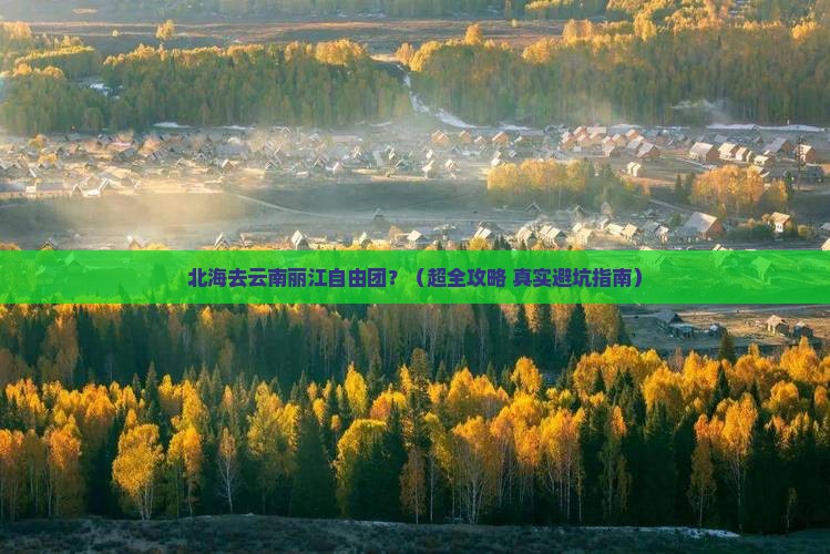 北海去云南丽江自由团