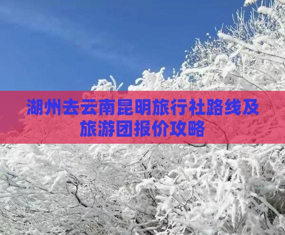 湖州去云南昆明旅行社