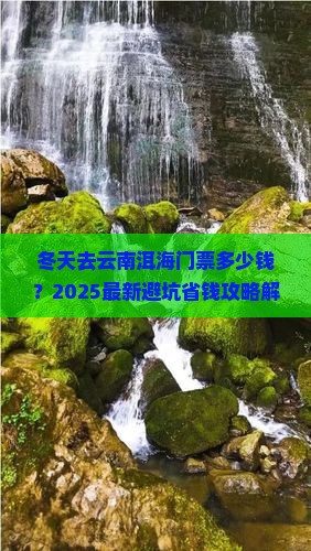 冬天去云南洱海门票