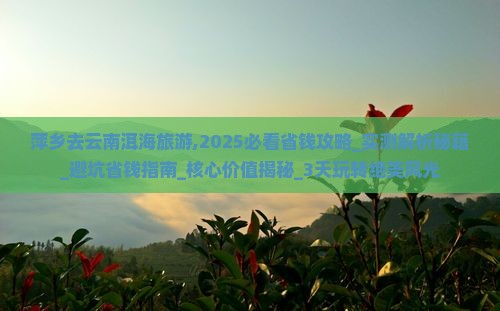 萍乡去云南洱海旅游
