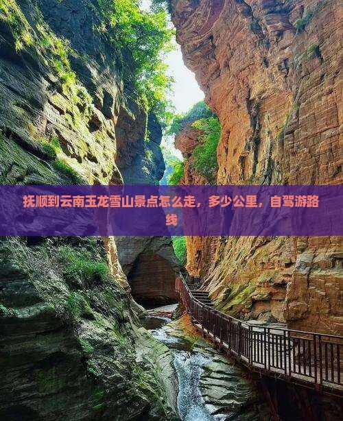 抚顺到云南玉龙雪山景点