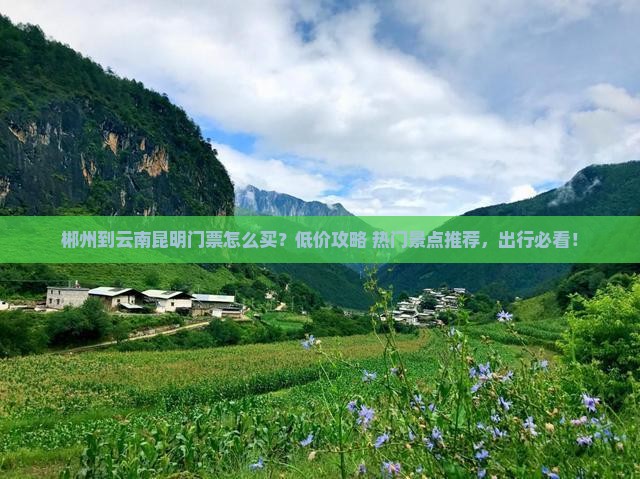 郴州到云南昆明门票