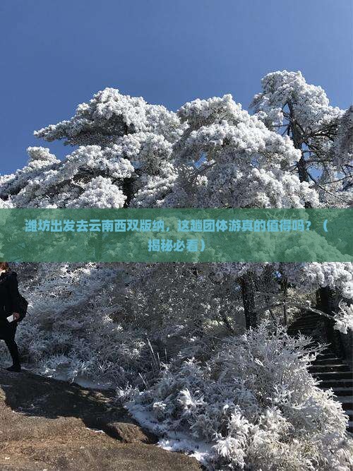 潍坊到云南西双版纳团体旅游