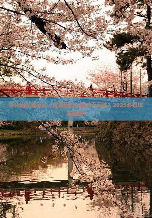 怀化到云南丽江自由团