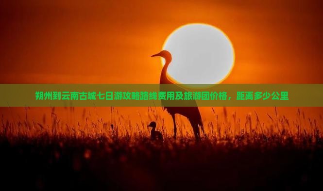 朔州到云南古城七日游