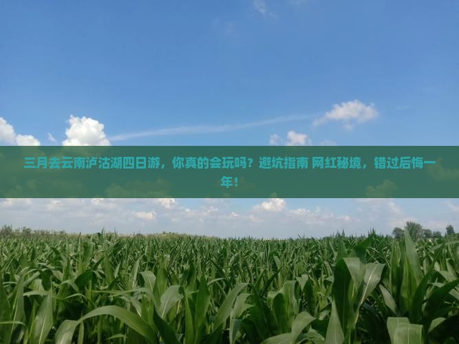三月去云南泸沽湖四日游