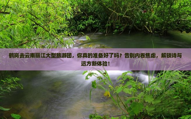 鹤岗去云南丽江大型旅游团